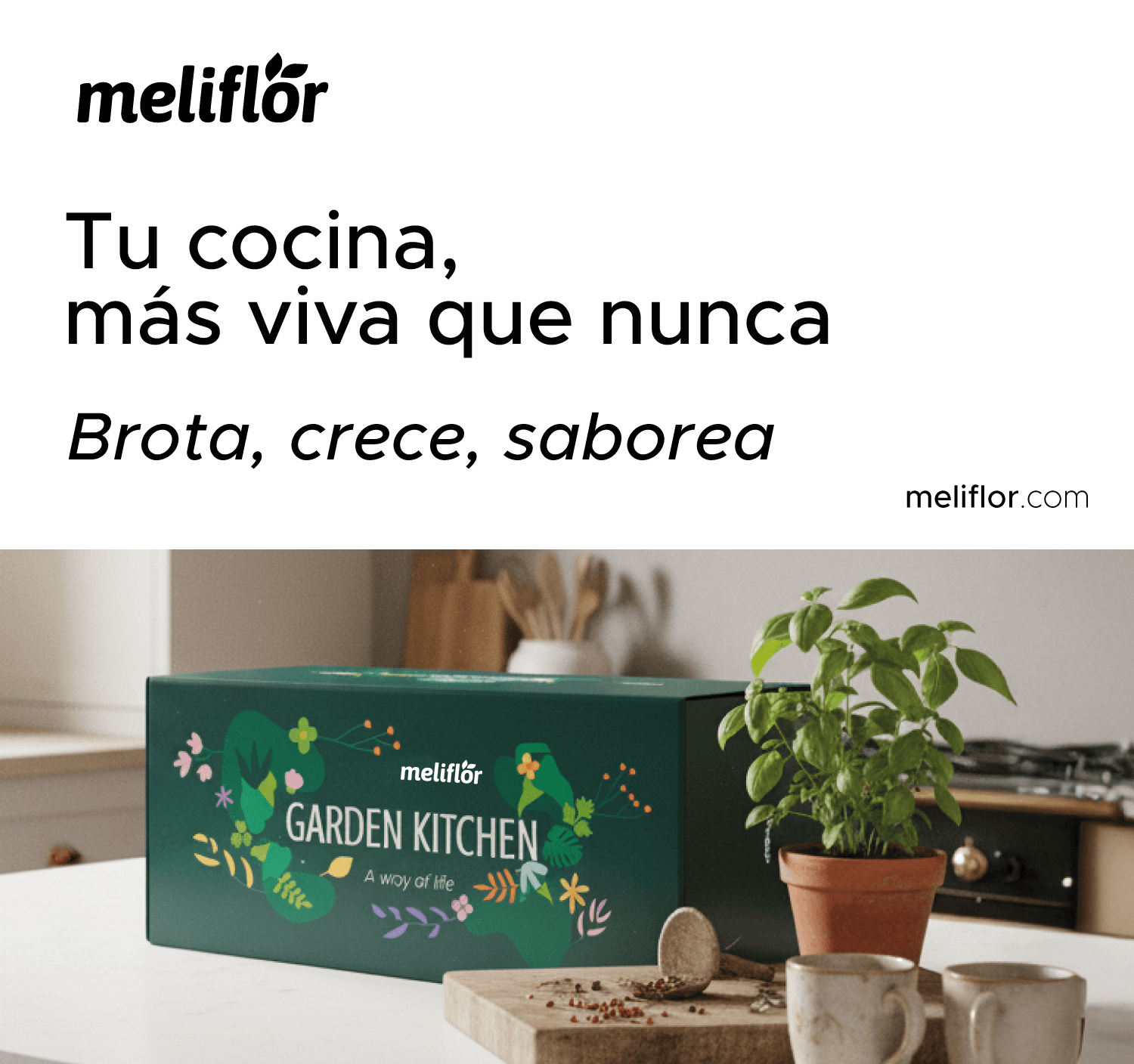 Reduce hasta un 70% tu consumo de agua con las ollas de riego Meliflor.