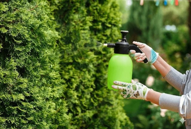 Cuidar lo que ya florece: cómo preparar tu jardín para los meses más calurosos