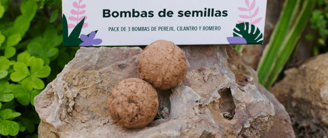 ¿Cuándo germinar semillas?